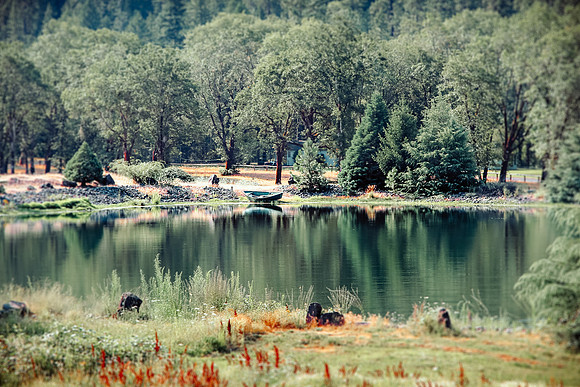 OREGON