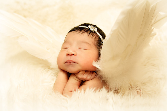 Hollywood Photo Studios