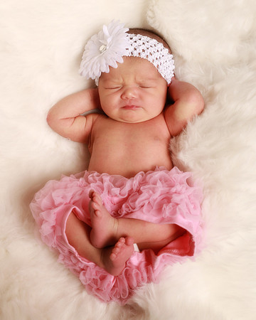 Hollywood Photo Studios