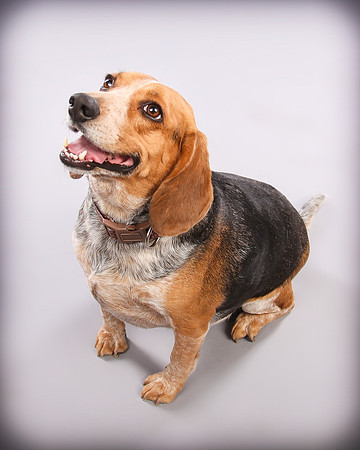 Hollywood Photo Studios