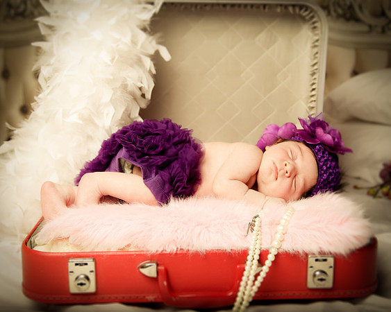 Hollywood Photo Studios