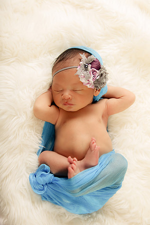 Hollywood Photo Studios