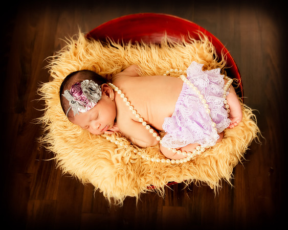 Hollywood Photo Studios