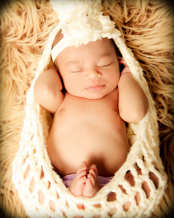 Hollywood Photo Studios