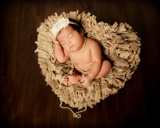 Hollywood Photo Studios