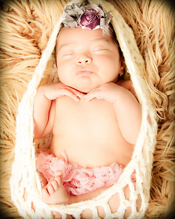 Hollywood Photo Studios