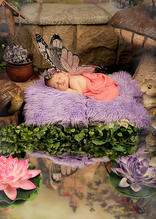 Hollywood Photo Studios