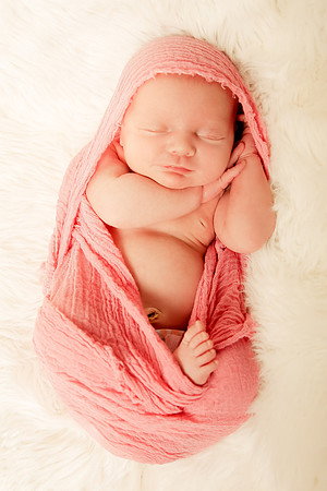 Hollywood Photo Studios