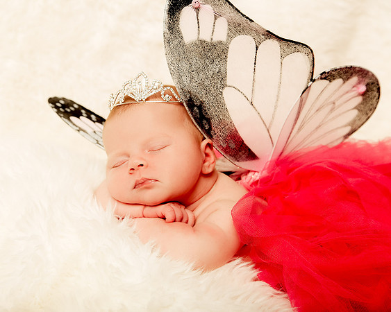 Hollywood Photo Studios