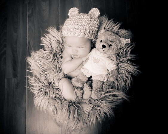 Hollywood Photo Studios