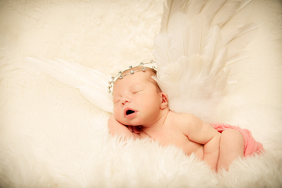 Hollywood Photo Studios