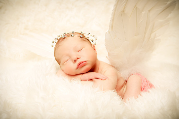Hollywood Photo Studios