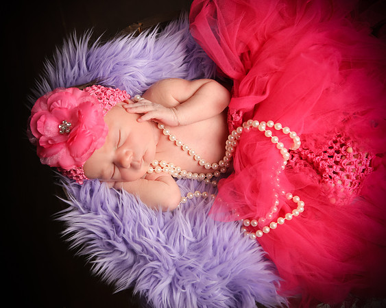 Hollywood Photo Studios
