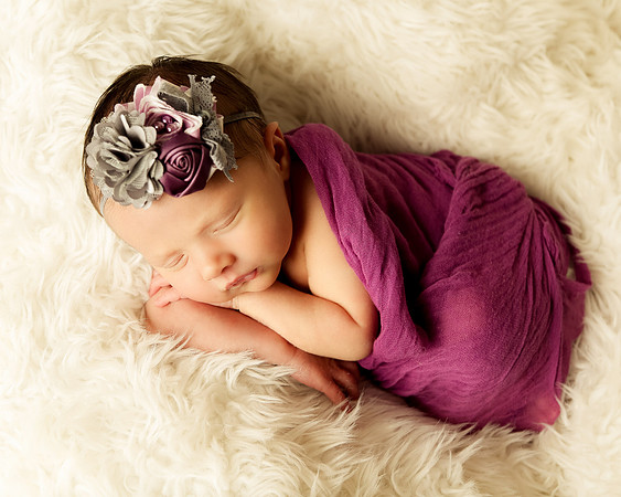 Hollywood Photo Studios