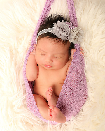 Hollywood Photo Studios