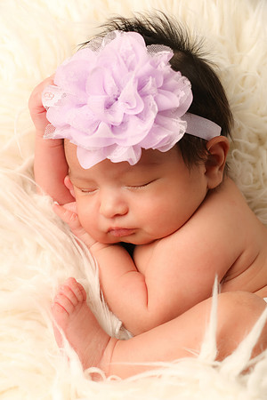 Hollywood Photo Studios