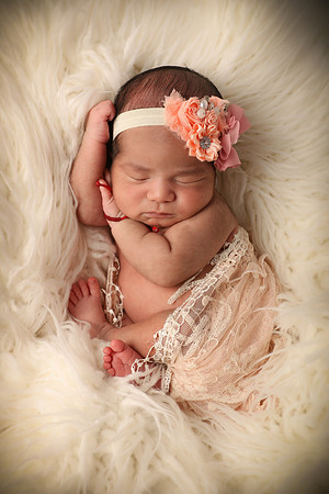 Hollywood Photo Studios