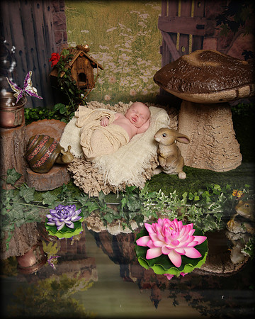 Hollywood Photo Studios