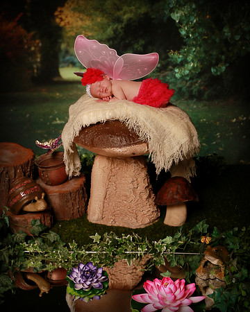 Hollywood Photo Studios