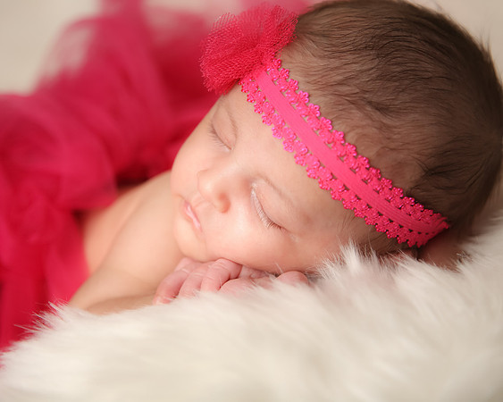 Hollywood Photo Studios