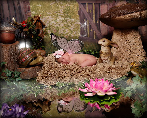 Hollywood Photo Studios
