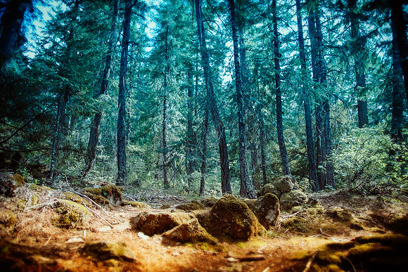 OREGON