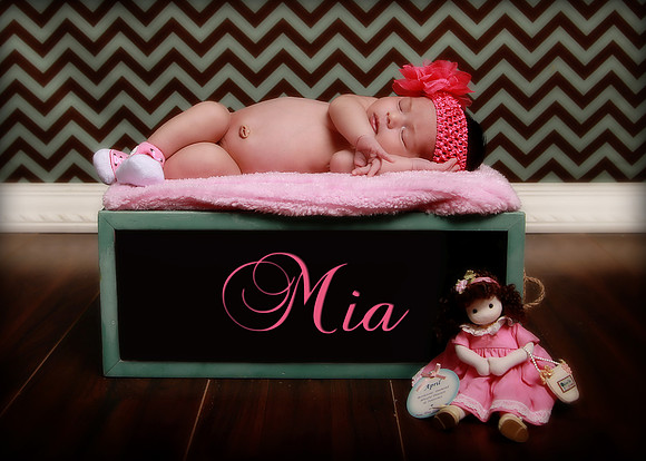 Hollywood Photo Studios