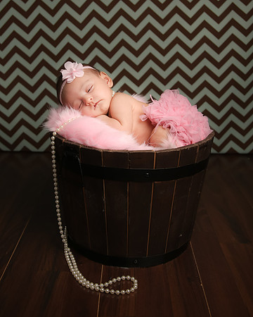 Hollywood Photo Studios