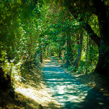 OREGON