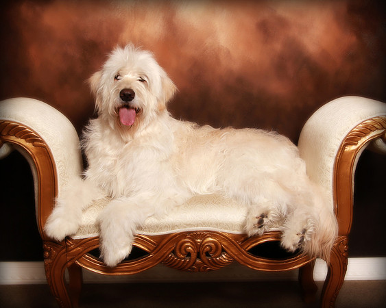 Hollywood Photo Studios