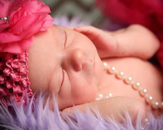 Hollywood Photo Studios